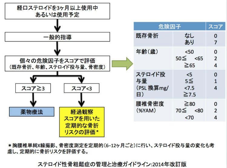 日本におけるステロイド性骨粗しょう症の管理と治療ガイドライン2014年